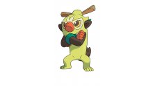 Pokémon-Epée-Bouclier-33-27-11-2019