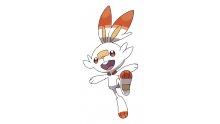 Pokémon-Epee-Bouclier-Flambino-27-02-2019