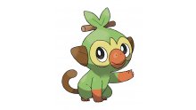 Pokémon-Epee-Bouclier-Ouistempo-27-02-2019