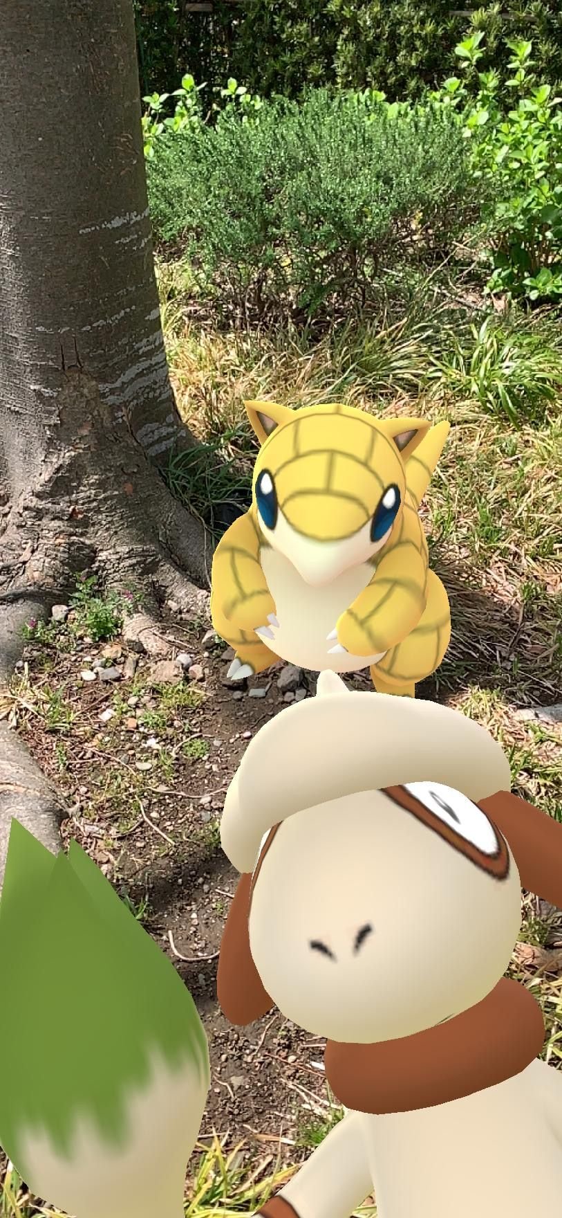 Pokémon-GO-06-15-04-2021