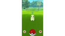 Pokémon GO MAJ 2e gen screen 19