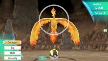 Pokémon-Let's-Go-Pikachu-Evoli_19-09-2018_pic (9)