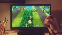 Pokémon-Lets-Go-Pikachu-Evoli-12-30-05-2018