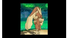 Pokémon-Omega-Rubis-Alpha-Saphir_10-08-2014_Lockpin-15