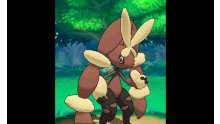Pokémon-Omega-Rubis-Alpha-Saphir_10-08-2014_Lockpin-4