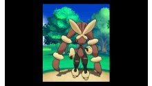 Pokémon-Omega-Rubis-Alpha-Saphir_10-08-2014_Lockpin-5