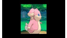 Pokémon-Omega-Rubis-Alpha-Saphir_14-08-2014_screnshot-9
