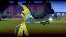 Pokémon-Épée-Bouclier_Ile-Solitaire-de-l'Armure-15