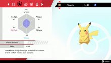 Pokémon-Épée-Bouclier_objet-1