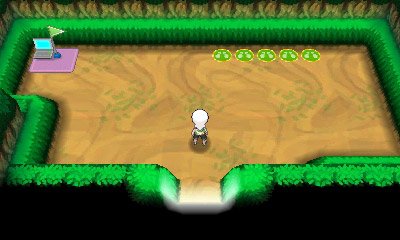 Pokémon Rubis Oméga et Saphir Alpha 09.07.2014  (2)