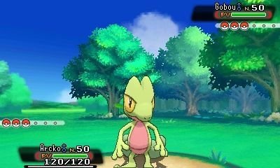 Pokémon-Rubis-Oméga-Saphir-Alpha_12-06-2014_screenshot (10)