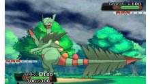 Pokémon-Rubis-Oméga-Saphir-Alpha_12-06-2014_screenshot (21)