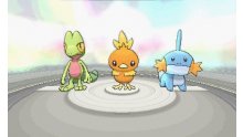 Pokémon-Rubis-Oméga-Saphir-Alpha_12-06-2014_screenshot (27)