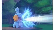 Pokémon-Rubis-Oméga-Saphir-Alpha_12-06-2014_screenshot (30)