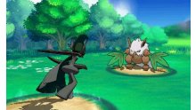 Pokémon-Rubis-Oméga-Saphir-Alpha_13-09-2014_screenshot-Timmy-8