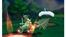 Pokémon-Rubis-Oméga-Saphir-Alpha_13-11-2014_capacités-ultimes-screenshot-3