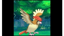 Pokémon-Rubis-Oméga-Saphir-Alpha_14-10-2014_Méga-Roucarnage-3