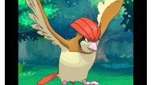 Pokémon-Rubis-Oméga-Saphir-Alpha_14-10-2014_Méga-Roucarnage-4