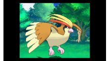 Pokémon-Rubis-Oméga-Saphir-Alpha_14-10-2014_Méga-Roucarnage-5