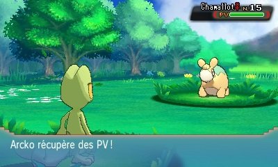 Pokémon-Rubis-Oméga-Saphir-Alpha_14-10-2014_Multi-Navi-76