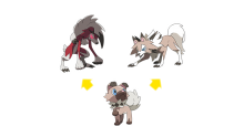 Pokémon-Soleil-Lune-exclusifs-Rocabot-14-11-2016