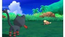 Pokémon-Soleil-Lune-screenshot-gameplay-08-14-10-2016