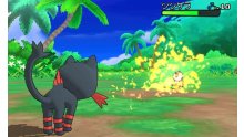 Pokémon-Soleil-Pokémon-Lune_01-07-2016_screenshot (13)