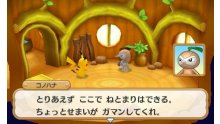 Pokémon-Super-Méga-Mystery-Dungeon_19-07-2015_screenshot-9