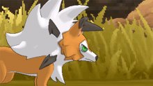 Pokémon-Ultra-Soleil-Ultra-Lune-Lougaroc-forme-crépusculaire-01-11-08-2017