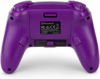 PowerA Manette Switch Spyro pic 2