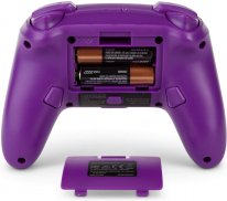 PowerA Manette Switch Spyro pic 4