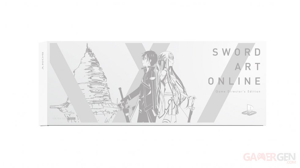 PS4 collector Sword Art Online (5)