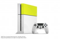 PS4 coque 15 09 2015 pic 4