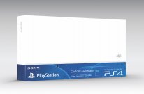 PS4 custom faceplate 1