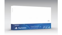 PS4 custom faceplate 1