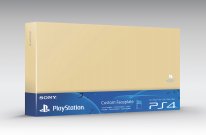 PS4 custom faceplate 5