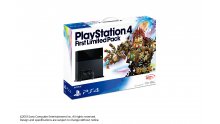 ps4 first limited edition knack