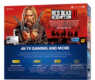 PS4 Red Dead Redemption 2 pack bundle