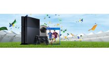 PS4-Soft-bundle_FIFA-15