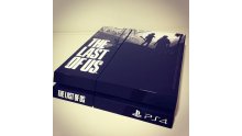 PS4 The Last of US 21.05.2014  (2)