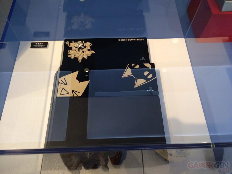 PS4 Toro Edition limitee collector dokodemo issho 06.05.2014  (5)
