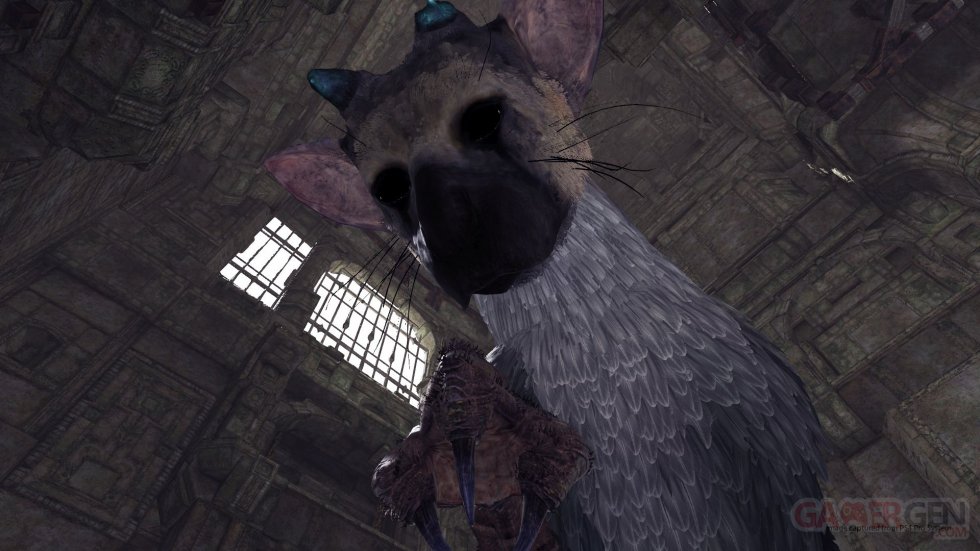 PSX17 - The Last Guardian VR Images Trico (10)