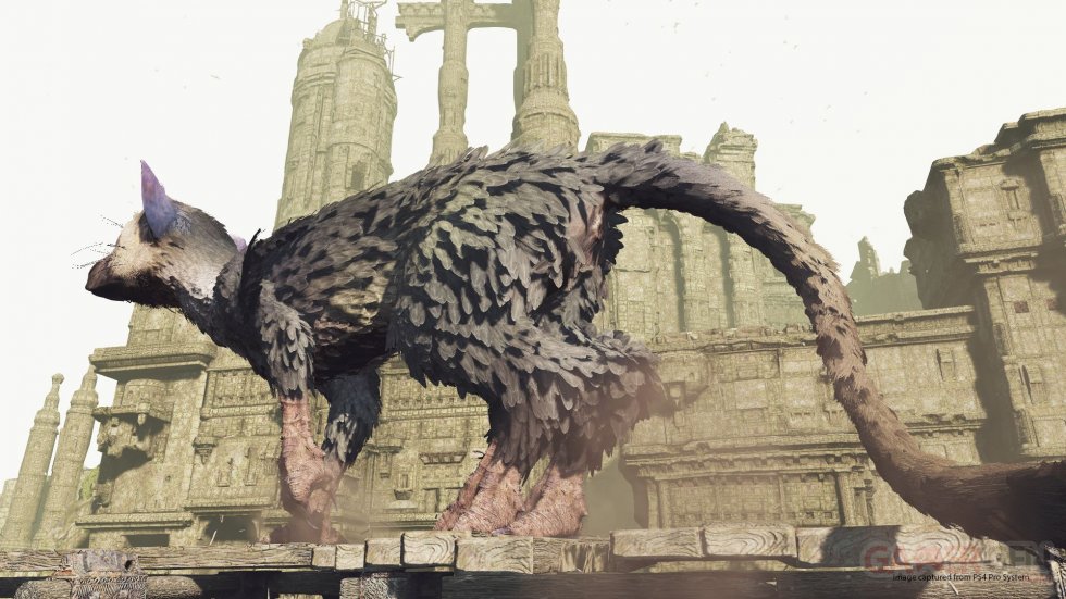 PSX17 - The Last Guardian VR Images Trico (3)