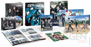 Psycho Pass Mandatory Happiness collector 2