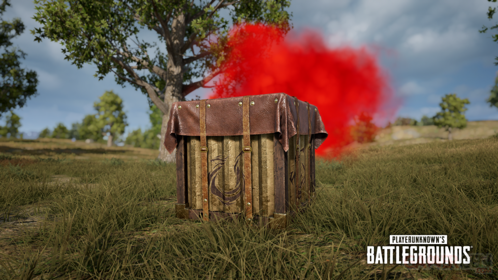 PUBG-PlayerUnknown's-Battlegrounds_31-03-2020_Fantasy-Battle-Royale-9