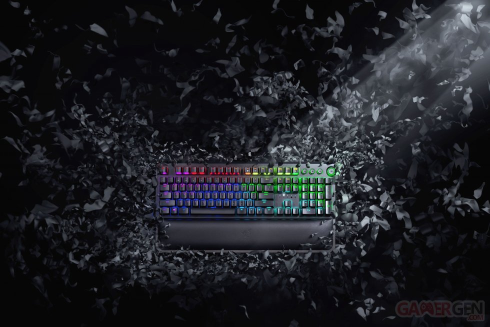 Razer Blackwidow Elite [2018] Concept Shoot Chroma Media Control (1)