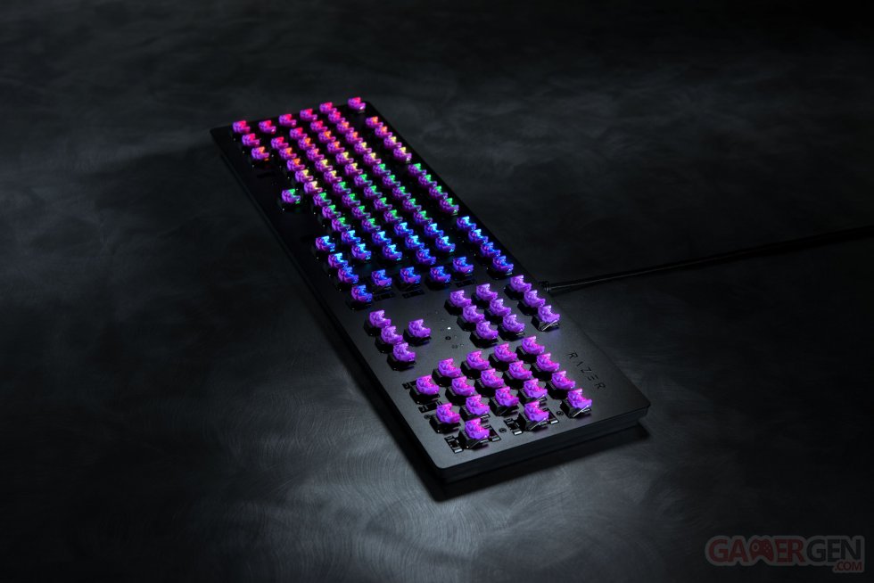 Razer Opto-Mechanical Switch (2018) (3)