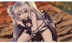 Record of Agarest War PC