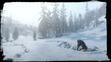 Red-Dead-Redemption-2-12-24-09-2018