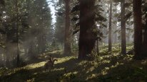 Red Dead Redemption 2 22 05 2017 screenshot 3